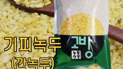 올해 국산 녹두 가격 득템 찬스! 알뜰 후기🌱